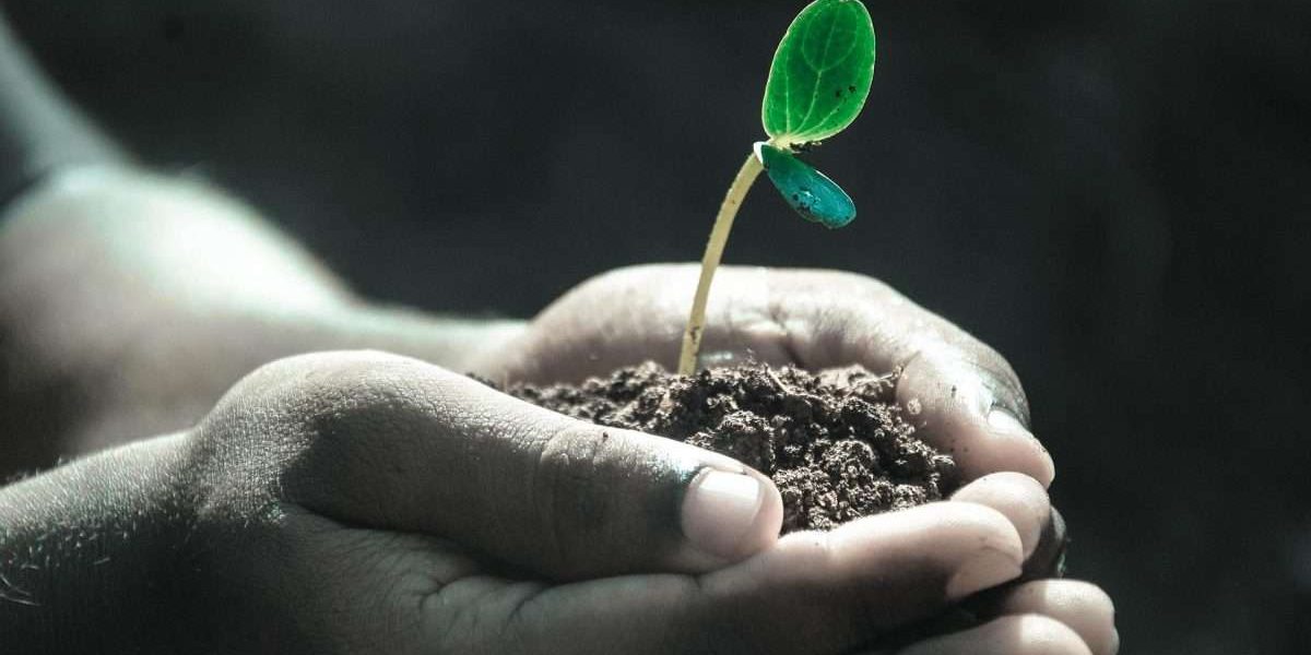Grow your law firm