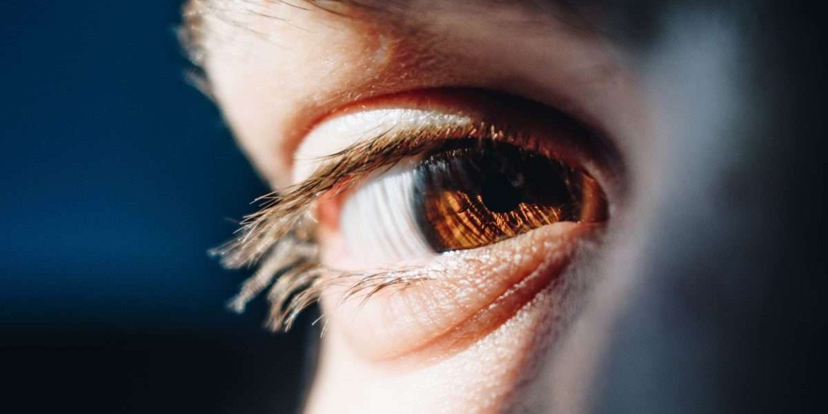 6CRkrzIFArtY1OIMeosPPk-bacila-vlad-WTThc6UmwEI-unsplash