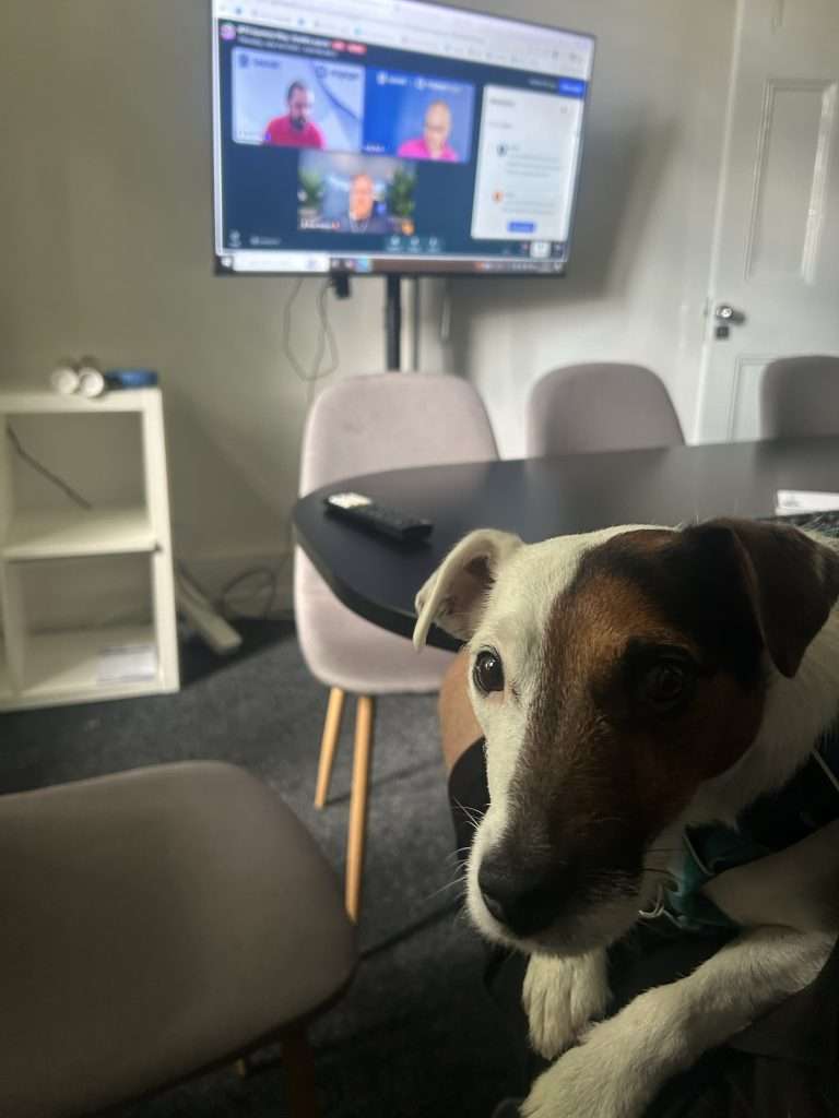 Alfie in the meeting room on a chair with the table and screen behind him.